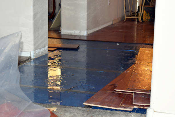 Professional Flood Damage Repair technician working in Kingston, WA